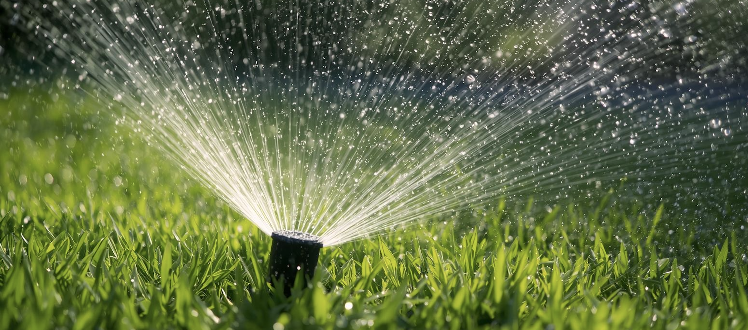 Sprinkler Services