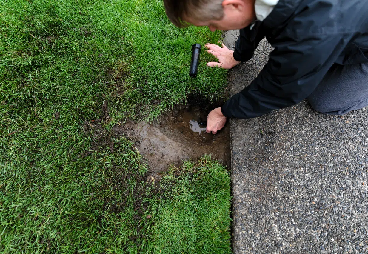 Learn How to Replace a Yard Sprinkler Valve