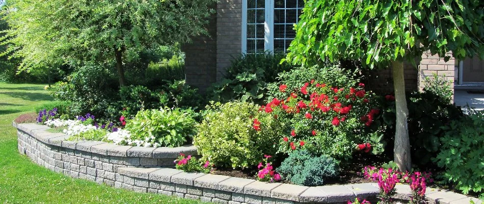 Landscape bed with plants and trees on a property in Denver, CO.