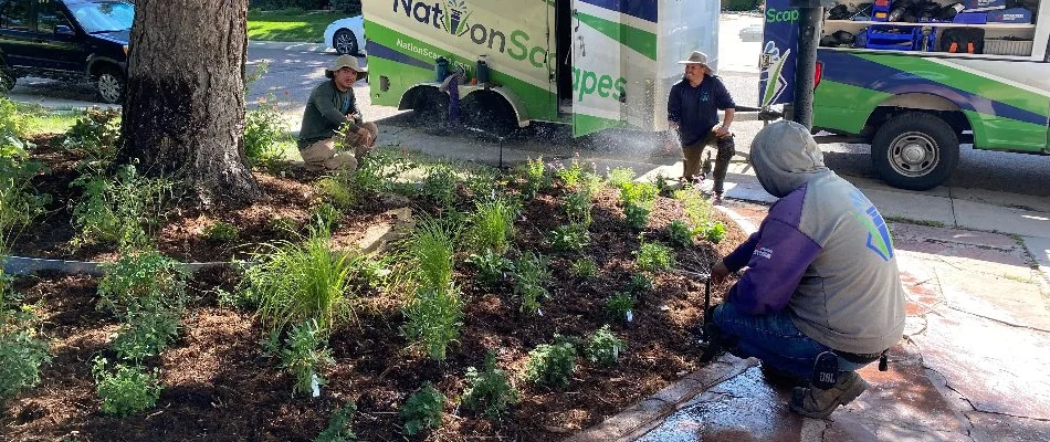 Crew members installing an irrigation system on a property in Denver, CO.