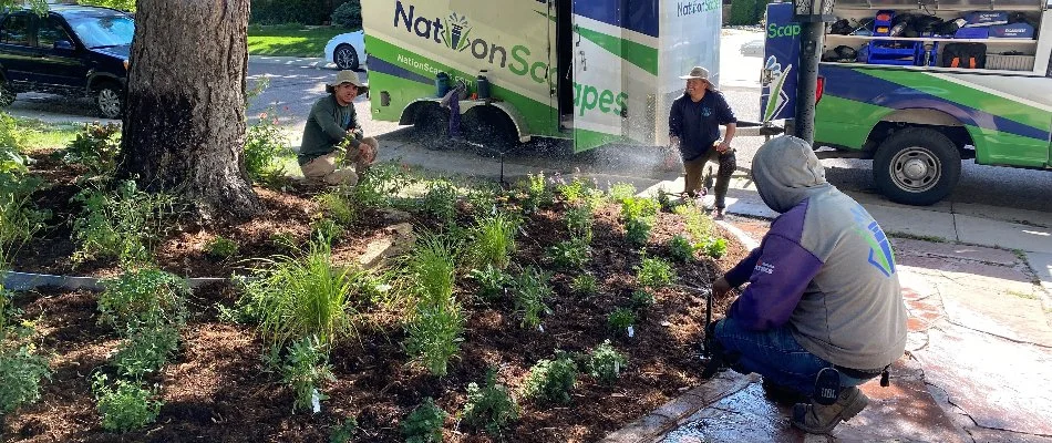 Crew working on irrigation system in Denver, CO.