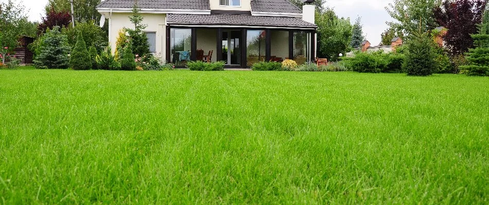 House behind a healthy fertilized lawn in Littleton, CO.