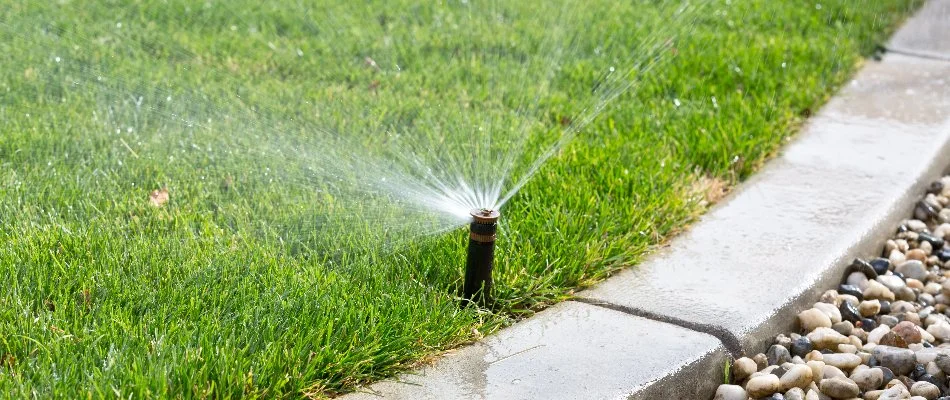 Irrigation system next to curbing.