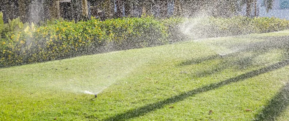 Lawn in Denver, CO, with several sprinkler heads.