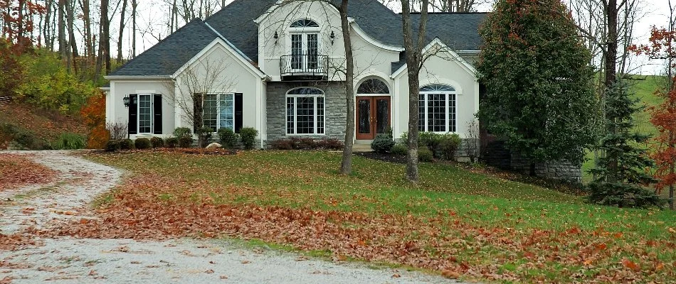 Leaves on a lawn in front of a property in Denver, CO.