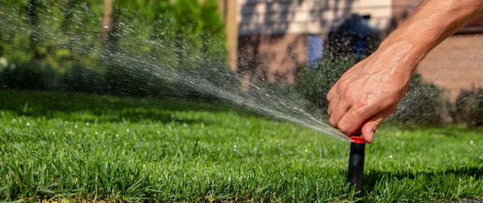 Lawn in Denver, CO, with irrigation sprinkler heads and lamp posts.