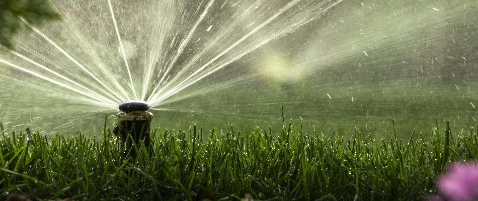 Sprinkler head on a lawn in Denver, CO, releasing water.