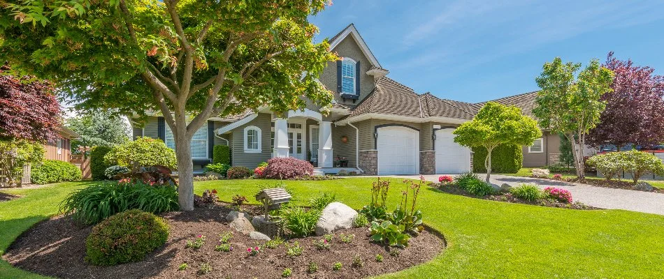 Trees and shrubs in front of a house in Denver, CO.