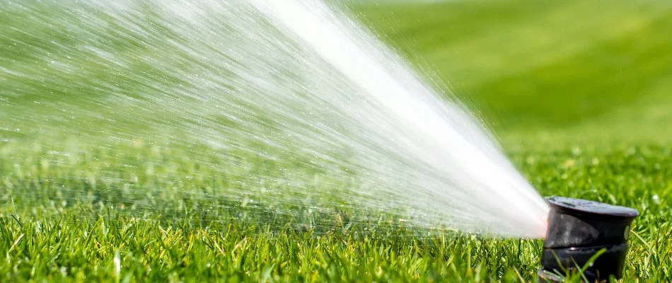 Water coming out of a sprinkler head in Littleton, CO.