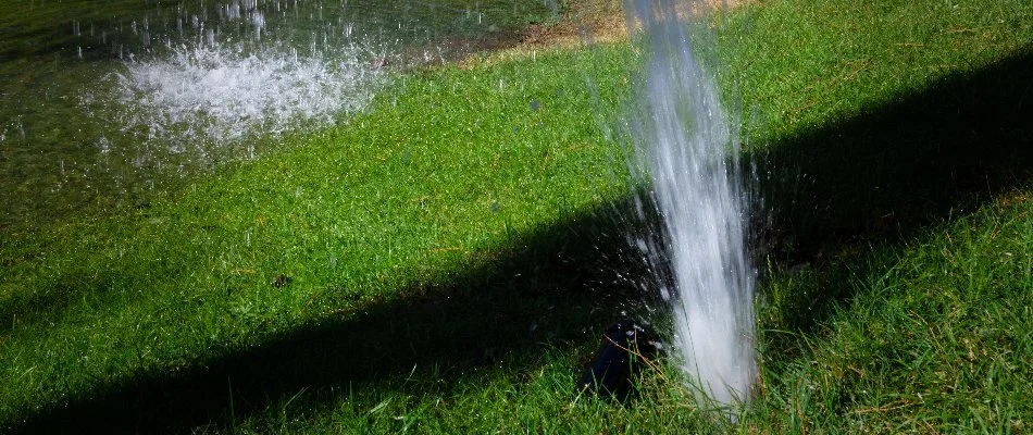 Water from a burst pipe on a lawn in Denver, CO.