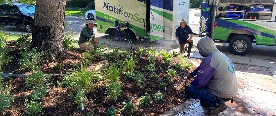 Workers installing an irrigation sprinkler system for a landscape in Denver, CO.