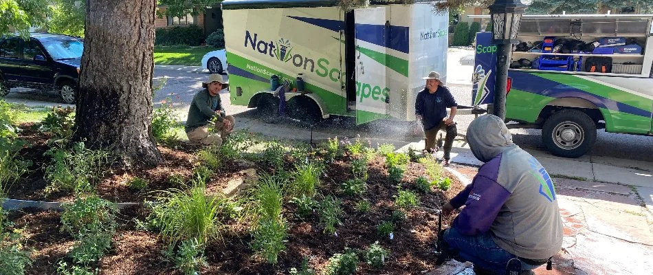 Team maintaining garden near service vehicles in Denver, CO.