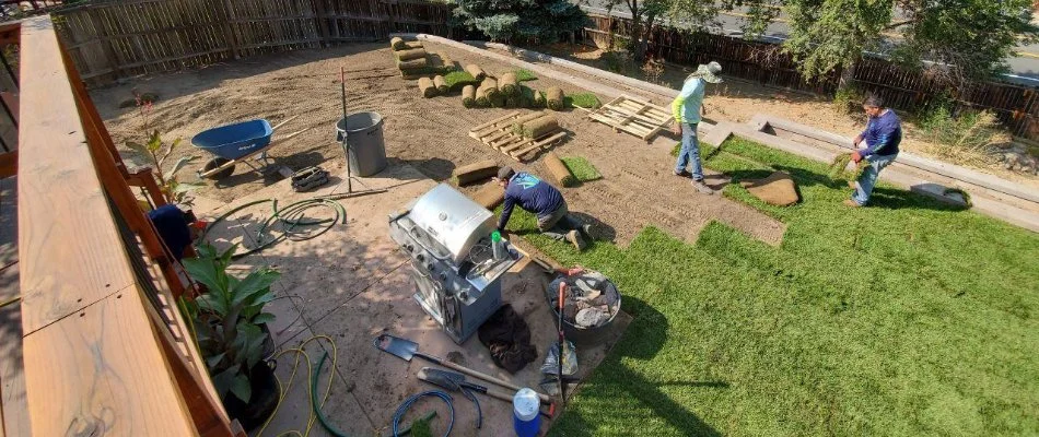 Workers installing sod on a property in Denver, CO.