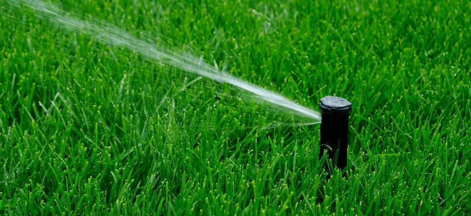 Black sprinkler head watering green lawn in Denver, CO.