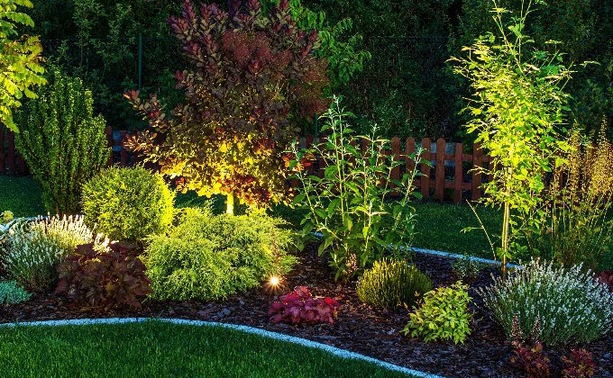 Well-lit garden with various plants and a wooden fence in Denver, CO.