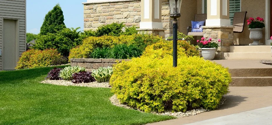 Shrubs, plants, and lamp post in front landscape in Denver, CO.